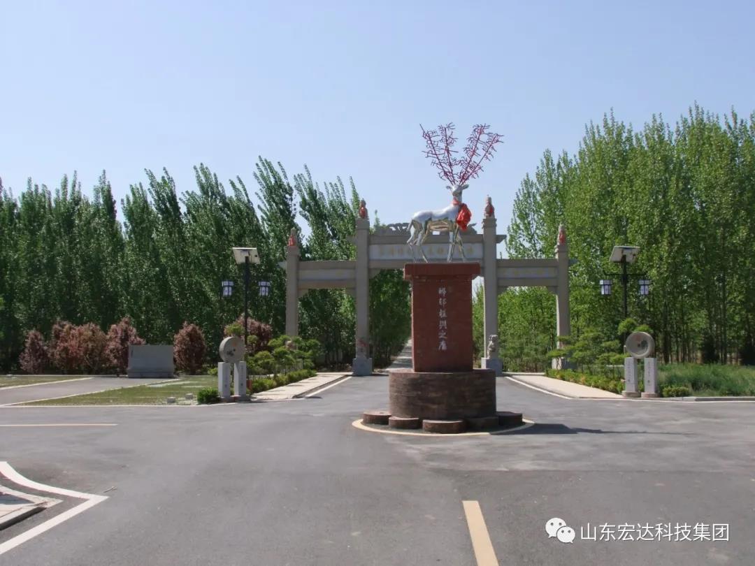山东中国玩球官方网集团举办党史学习教育活动