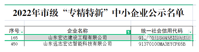 【榜上有名】中国玩球官方网建设荣获“2022年市级专精特新”企业